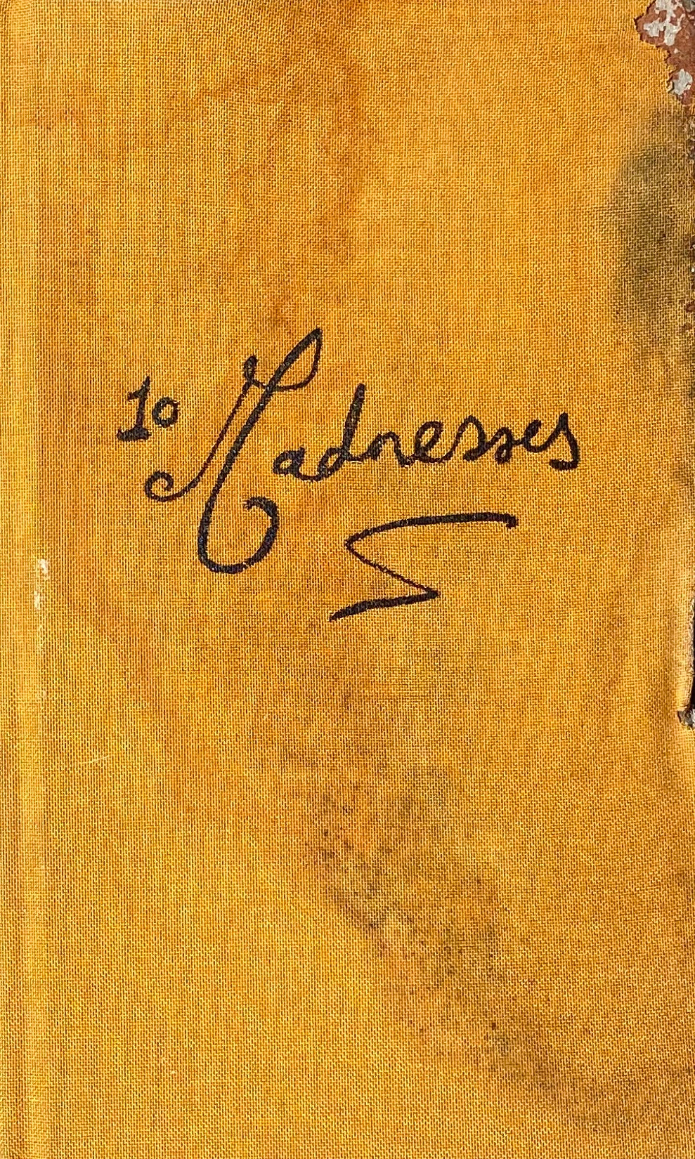 10 Madnesses by Fiona Tan (water damage; make an offer 100% proceeds to PCRF)