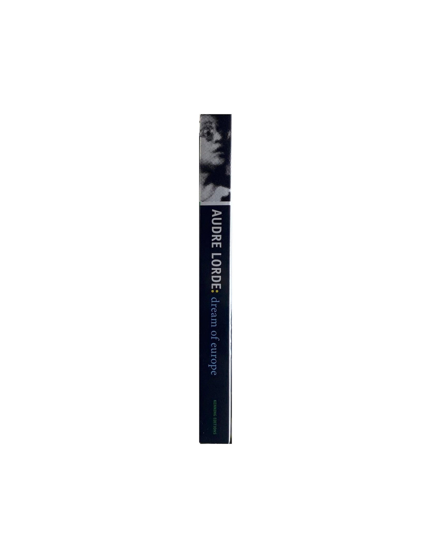 Audre Lorde: Dream of Europe. Selected Seminars and Interviews: 1984-1992 (edited by Mayra A. Rodríguez Castro)