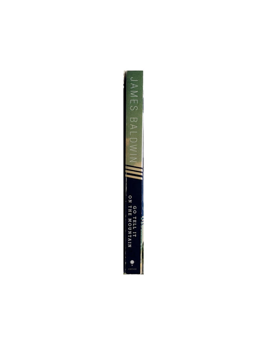 Go Tell It On The Mountain by James Baldwin