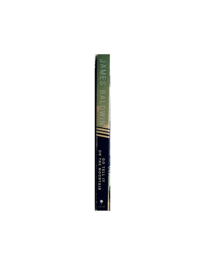 Go Tell It On The Mountain by James Baldwin